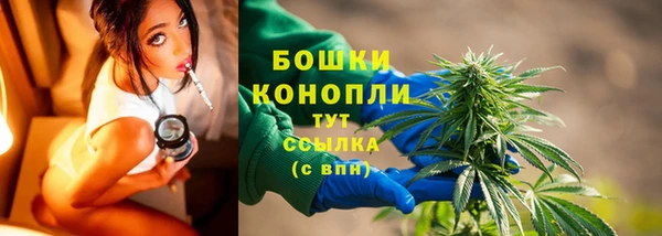 PSILOCYBIN Новозыбков