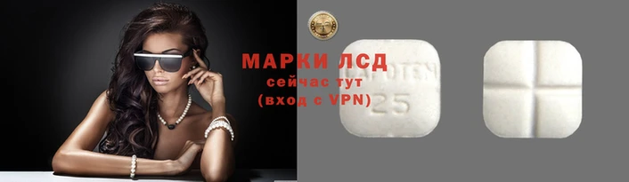 PSILOCYBIN Новозыбков