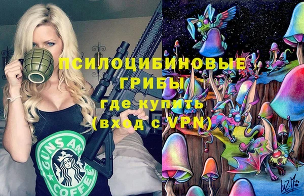 спиды Нефтекумск