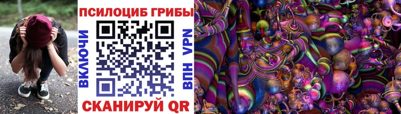 маркетплейс какой сайт  ссылка на мегу сайт  Кяхта  Псилоцибиновые грибы Magic Shrooms 